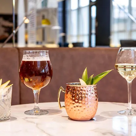 イビス パリ シャルルドゴール エアポート ホテル 3*