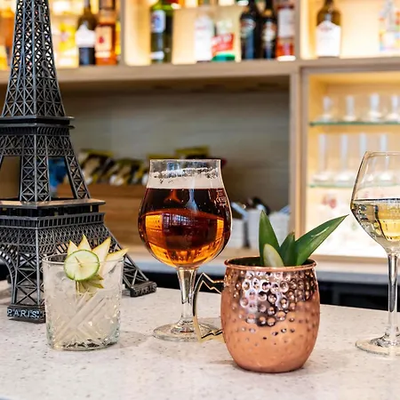 Ibis Paris Cdg Airport 3*