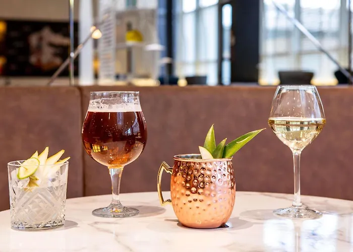 イビス パリ シャルルドゴール エアポート ホテル 3*