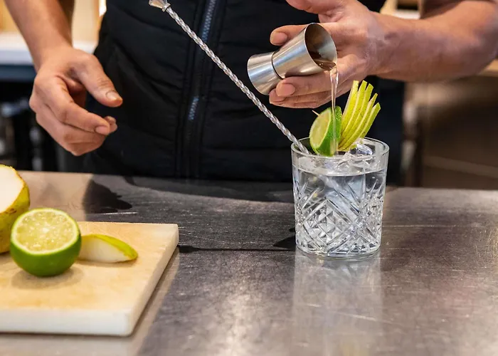 イビス パリ シャルルドゴール エアポート 3*